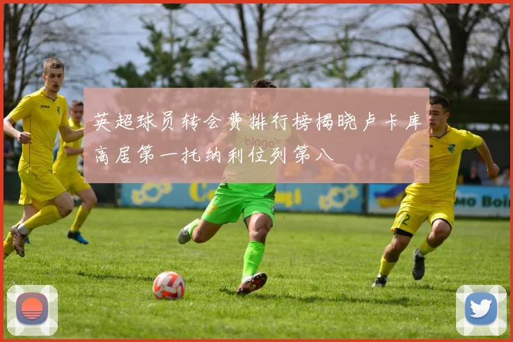 英超球员转会费排行榜揭晓卢卡库高居第一托纳利位列第八